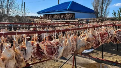 Kars ve Ardahan'ın simge lezzeti kaz etinde kar yağışıyla birlikte
